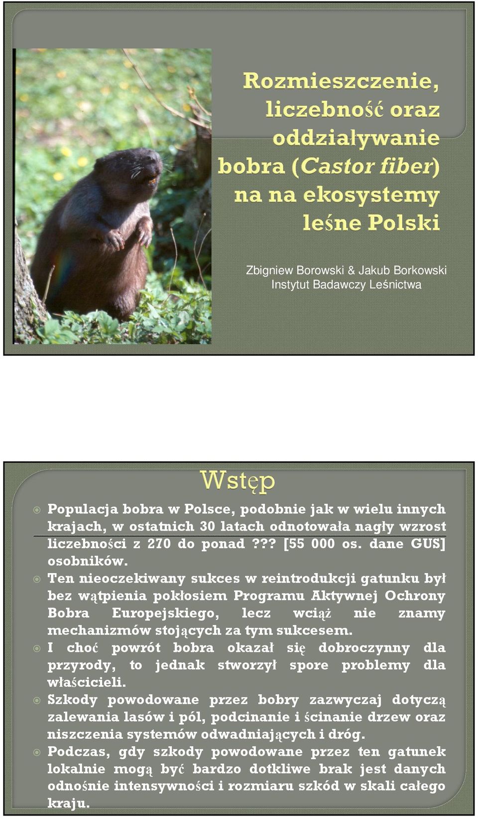 Ten nieoczekiwany sukces w reintrodukcji gatunku był bez wątpienia pokłosiem Programu Aktywnej Ochrony Bobra Europejskiego, lecz wciąż nie znamy mechanizmów stojących za tym sukcesem.