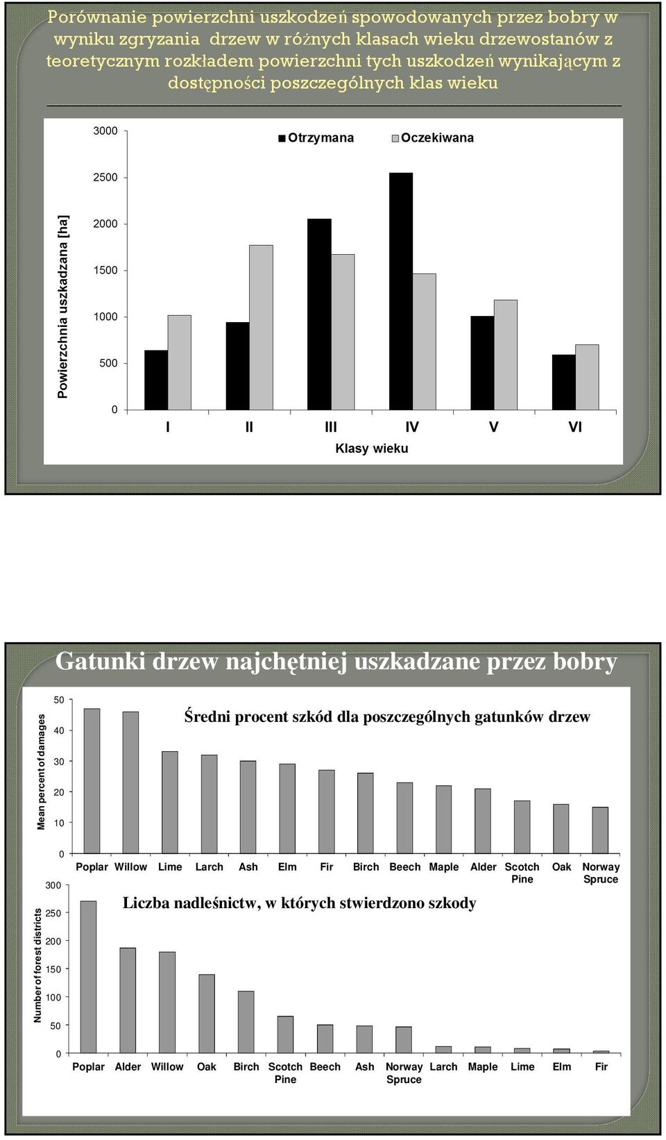 procent szkód dla poszczególnych gatunków drzew Number of forest districts 0 300 250 200 150 100 50 Poplar Willow Lime Larch Ash Elm Fir Birch Beech Maple Alder