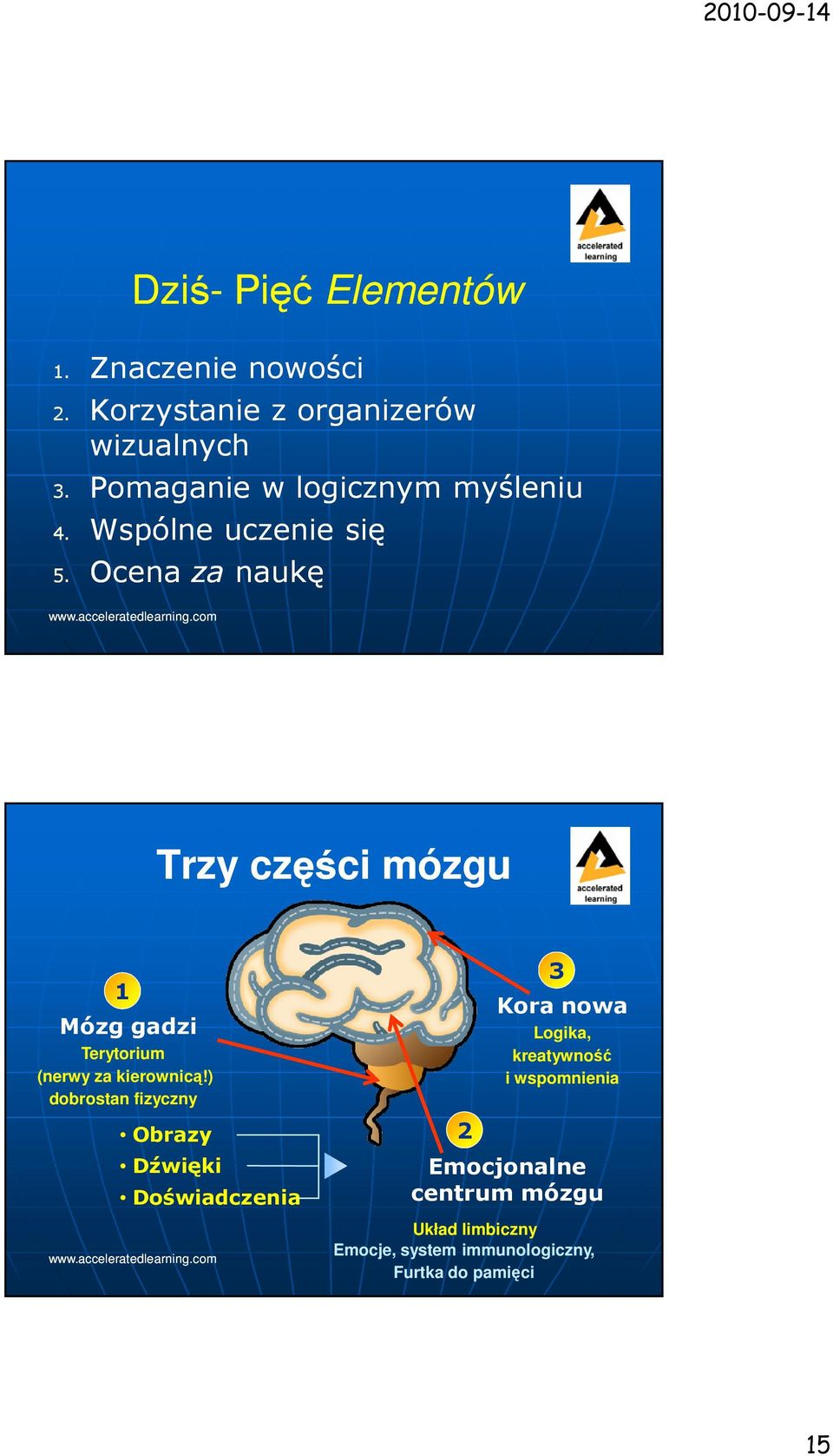 Ocena za naukę Trzy części mózgu 1 Mózg gadzi Terytorium (nerwy za kierownicą!