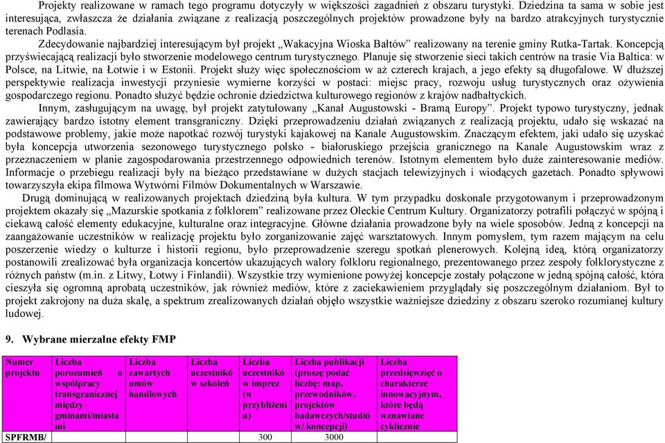 Zdecydowanie najbardziej interesującym był projekt Wakacyjna Wioska Bałtów realizowany na terenie gminy Rutka-Tartak.