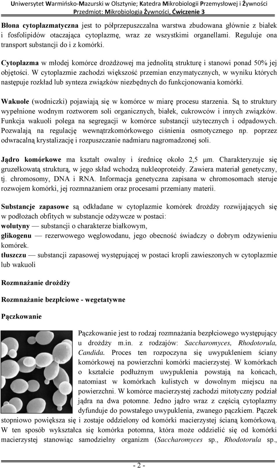 W cytoplazmie zachodzi większość przemian enzymatycznych, w wyniku których następuje rozkład lub synteza związków niezbędnych do funkcjonowania komórki.