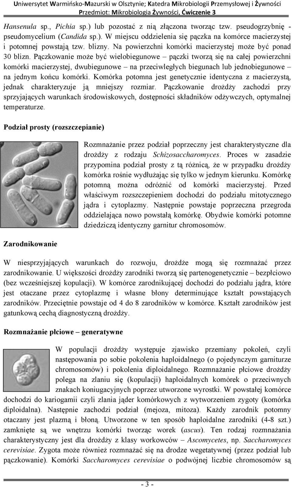 Pączkowanie może być wielobiegunowe pączki tworzą się na całej powierzchni komórki macierzystej, dwubiegunowe na przeciwległych biegunach lub jednobiegunowe na jednym końcu komórki.