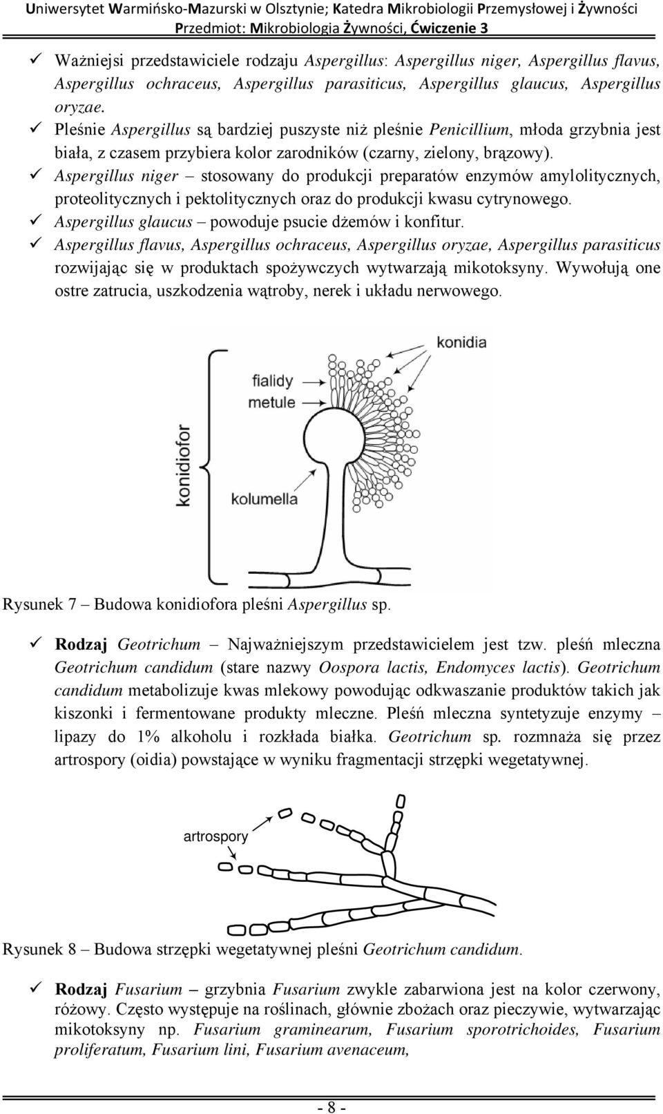 Aspergillus niger stosowany do produkcji preparatów enzymów amylolitycznych, proteolitycznych i pektolitycznych oraz do produkcji kwasu cytrynowego.