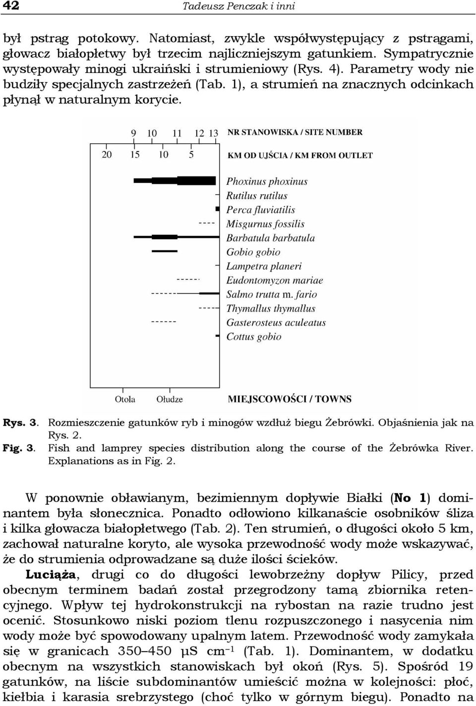 Rozmieszczenie gatunków ryb i minogów wzdłuŝ biegu śebrówki. Objaśnienia jak na Rys. 2. Fig. 3. Fish and lamprey species distribution along the course of the śebrówka River. Explanations as in Fig. 2. W ponownie obławianym, bezimiennym dopływie Białki (No 1) dominantem była słonecznica.