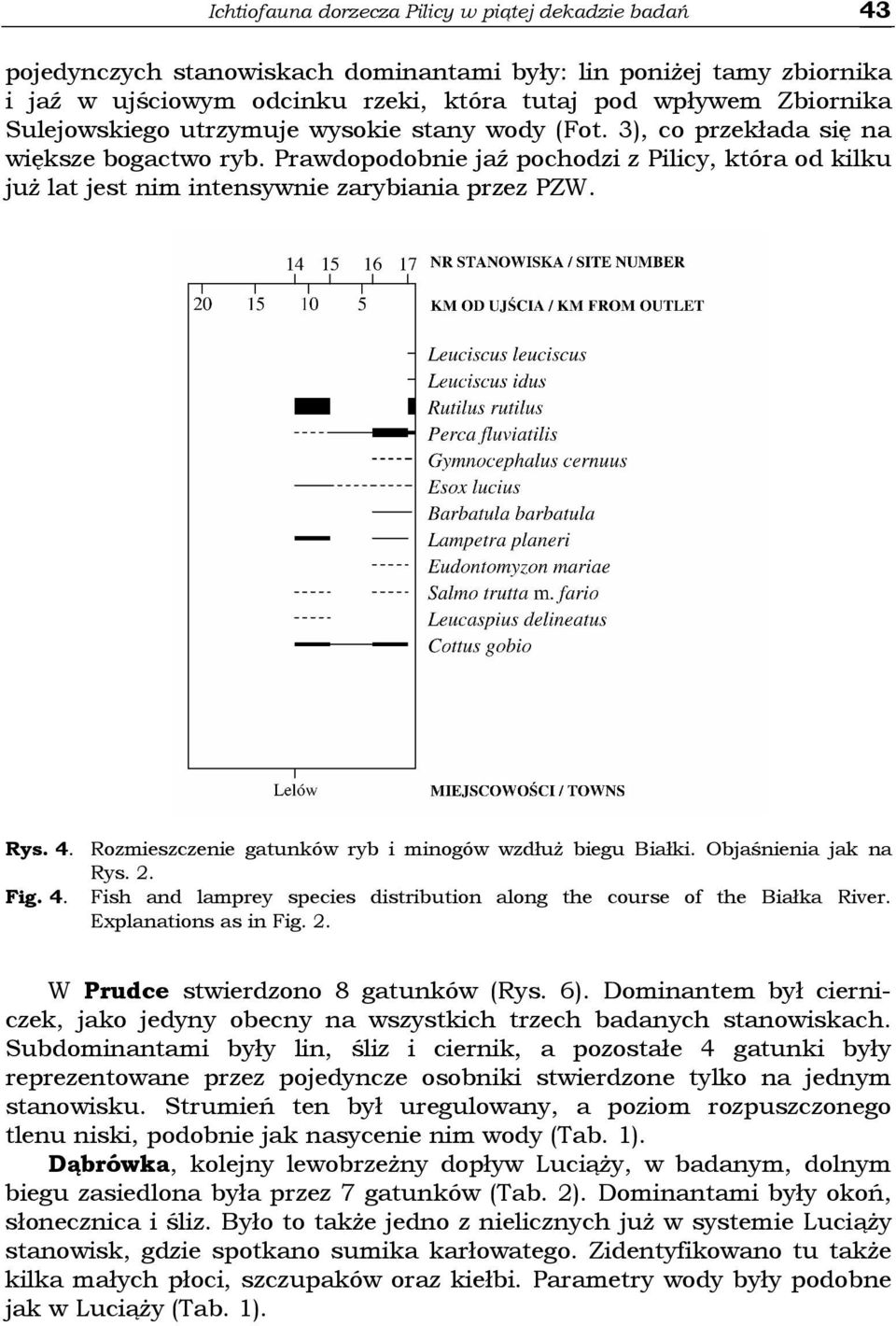 Rys. 4. Rozmieszczenie gatunków ryb i minogów wzdłuŝ biegu Białki. Objaśnienia jak na Rys. 2. Fig. 4. Fish and lamprey species distribution along the course of the Białka River.