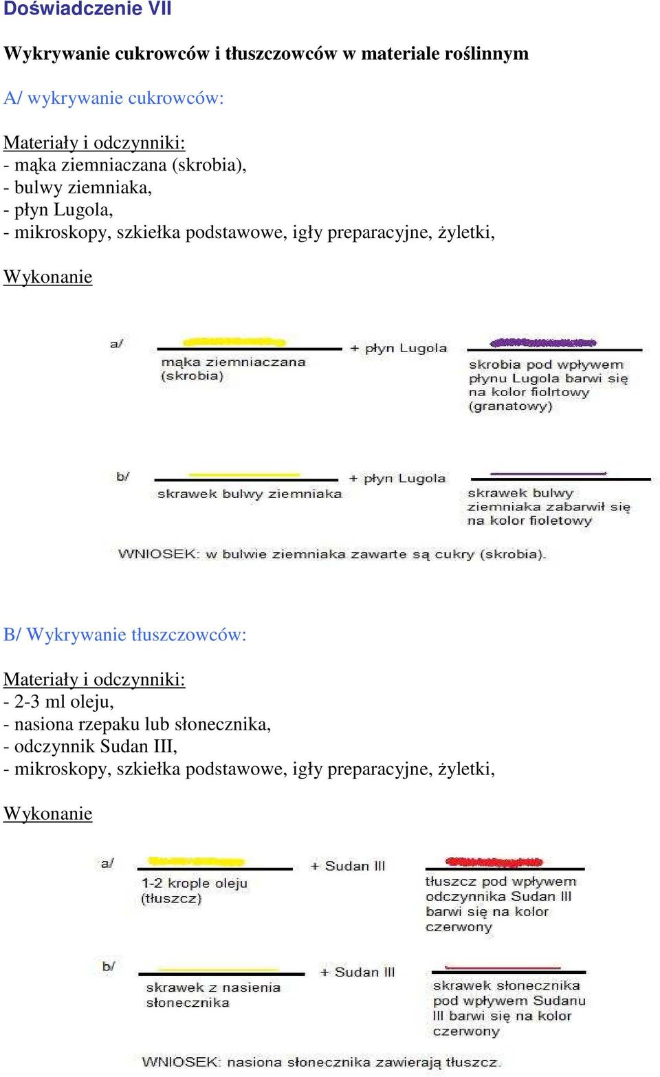 igły preparacyjne, Ŝyletki, Wykonanie B/ Wykrywanie tłuszczowców: Materiały i odczynniki: - 2-3 ml oleju, - nasiona