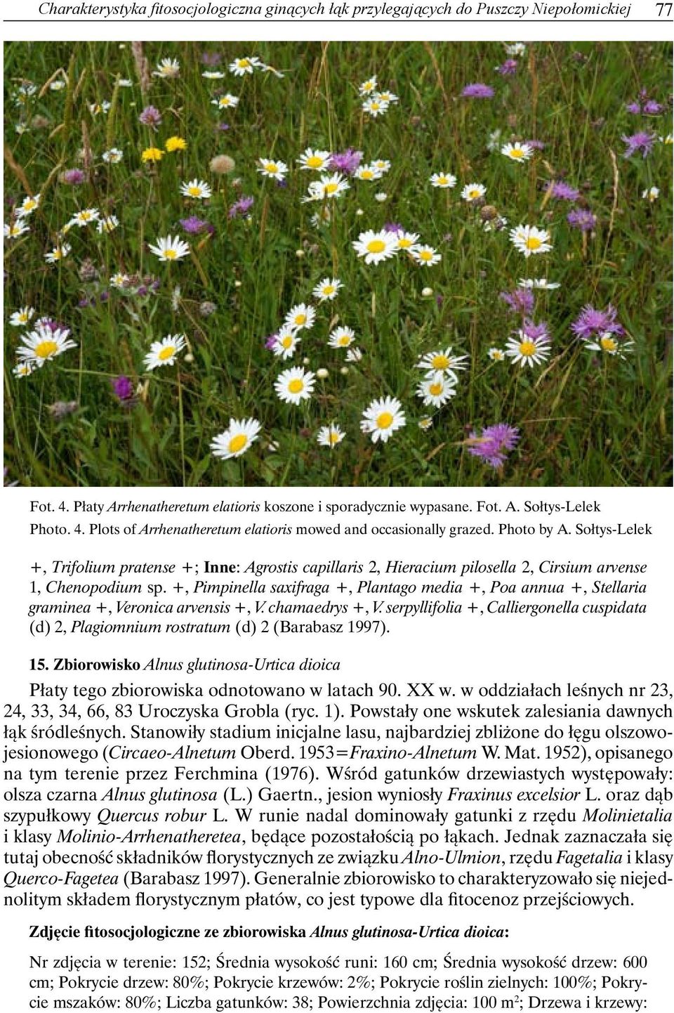 +, Pimpinella saxifraga +, Plantago media +, Poa annua +, Stellaria graminea +, Veronica arvensis +, V. chamaedrys +, V.