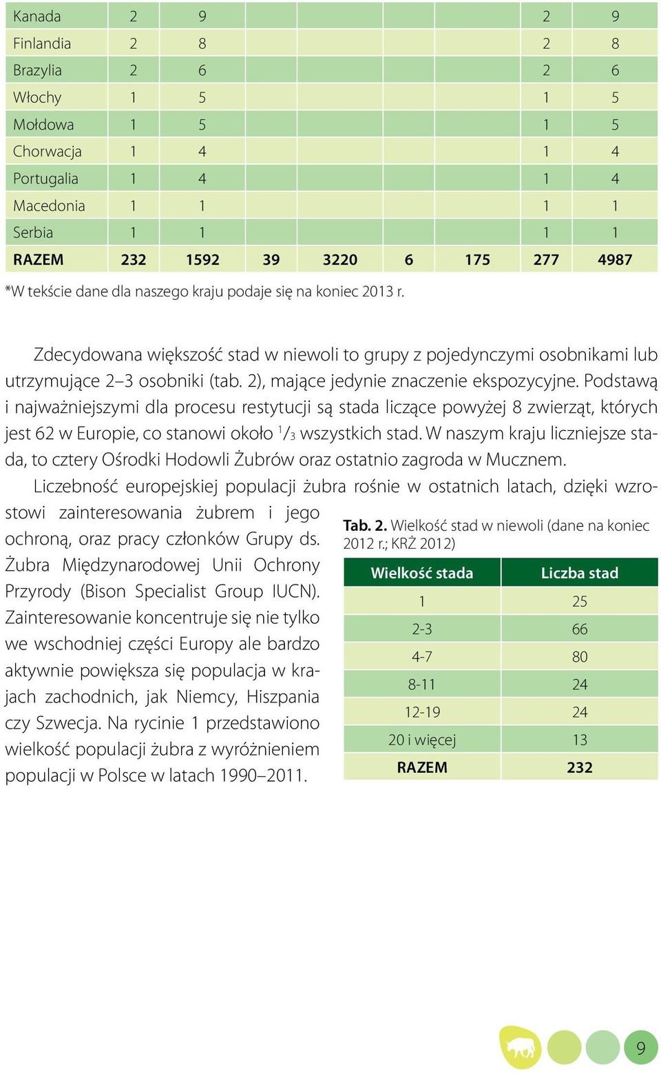 2), mające jedynie znaczenie ekspozycyjne. Podstawą i najważniejszymi dla procesu restytucji są stada liczące powyżej 8 zwierząt, których jest 62 w Europie, co stanowi około 1 /3 wszystkich stad.