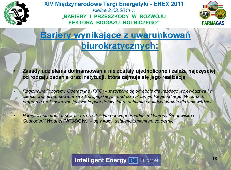 Regionalne Programy Operacyjne (RPO) - stworzone są odrębnie dla każdego województwa i w całości współfinansowane są z Europejskiego Funduszu Rozwoju