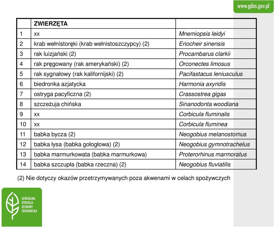 chińska Sinanodonta woodiana 9 xx Corbicula fluminalis 10 xx Corbicula fluminea 11 babka bycza (2) Neogobius melanostomus 12 babka łysa (babka gołogłowa) (2) Neogobius gymnotrachelus 13