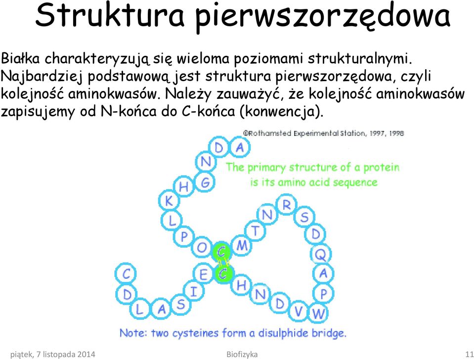 Najbardziej podstawową jest struktura pierwszorzędowa, czyli