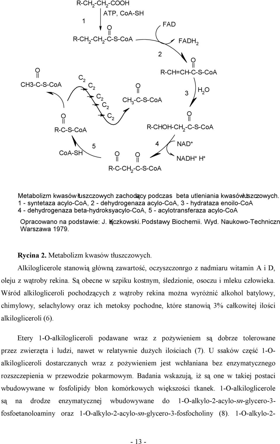 t 1 - syntetaza acylo-coa, 2 - dehydrogenaza acylo-coa, 3 - hydrataza enoilo-coa 4 - dehydrogenaza beta-hydroksyacylo-coa, 5 - acylotransferaza acylo-coa Opracowano na podstawie: J. Kączkowski.