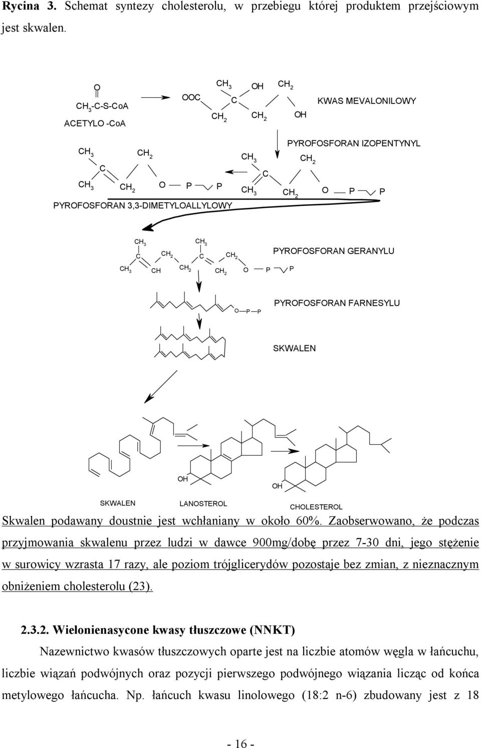 C CH 2 CH 3 C CH 2 PYROFOSFORAN GERANYLU CH 3 CH CH 2 CH 2 O P P O P P PYROFOSFORAN FARNESYLU SKWALEN OH OH SKWALEN LANOSTEROL CHOLESTEROL Skwalen podawany doustnie jest wchłaniany w około 60%.