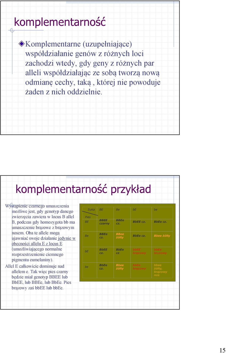 komplementarność przykład Wystąpienie czarnego umaszczenia możliwe jest, gdy genotyp danego zwierzęcia zawiera w locus B allel B, podczas gdy homozygota bb ma umaszczenie brązowe z brązowym nosem.