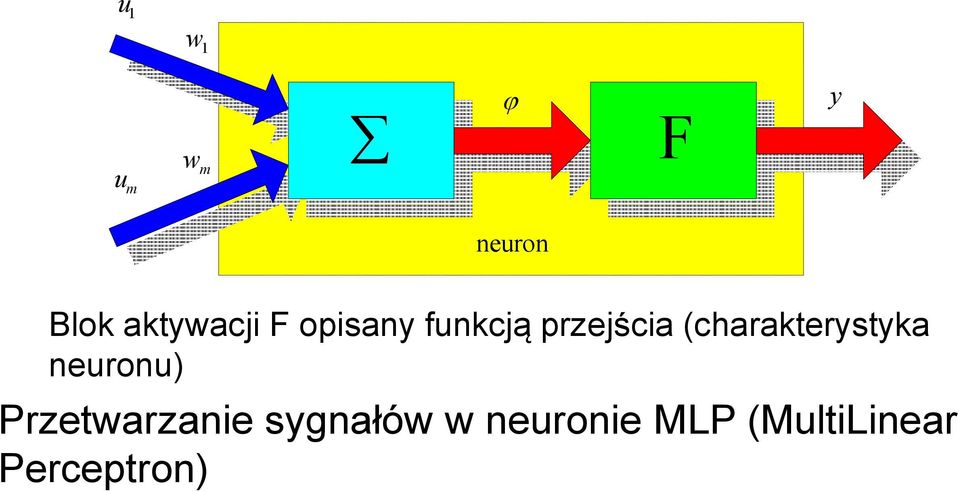 (charakterystyka neuronu) Przetwarzanie