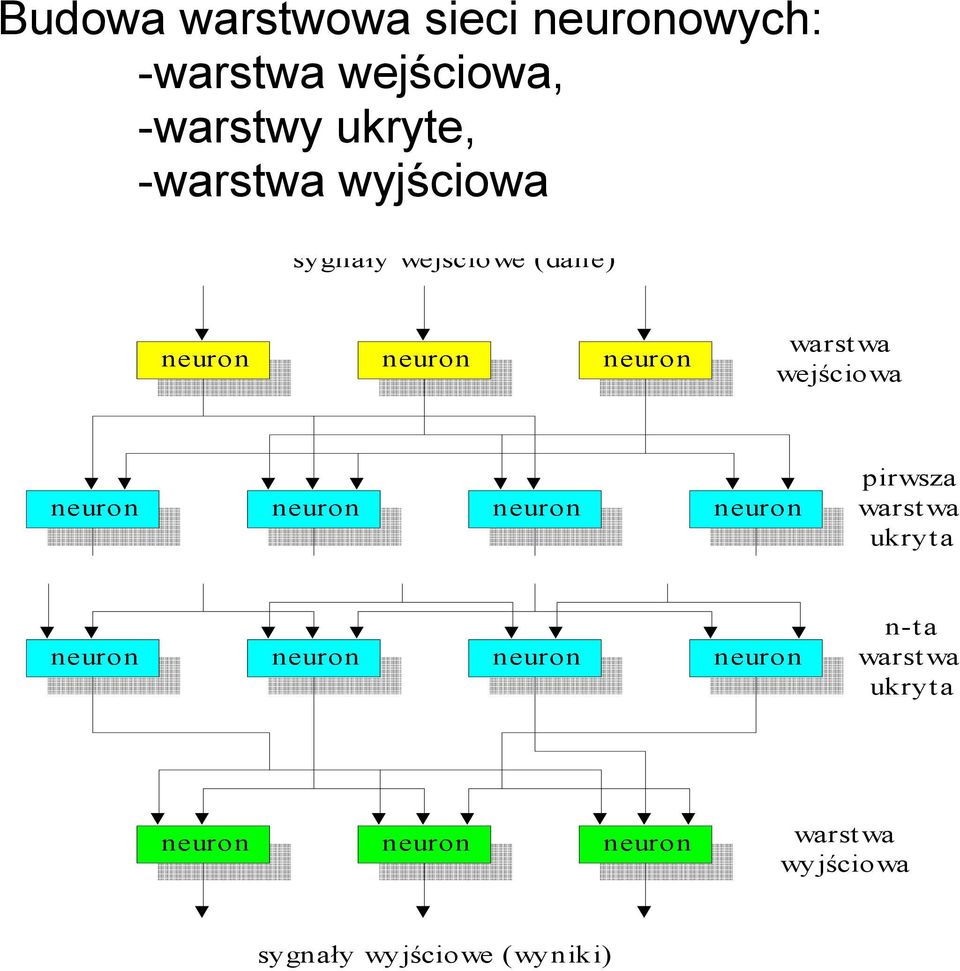 neuron neuron neuron pirwsza warst wa ukryt a neuron neuron neuron neuron n-ta