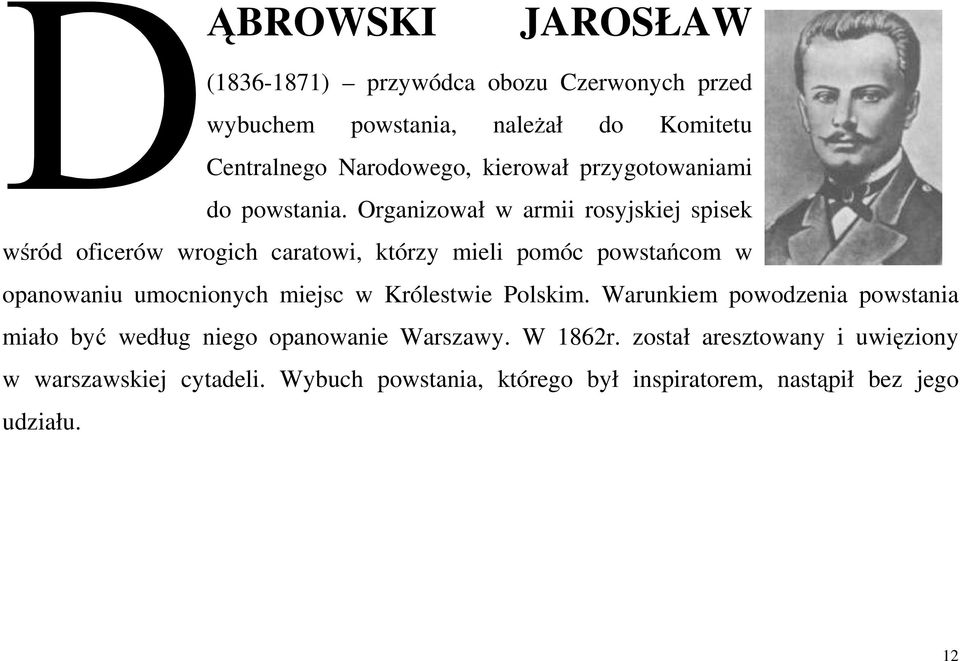 Organizował w armii rosyjskiej spisek wśród oficerów wrogich caratowi, którzy mieli pomóc powstańcom w opanowaniu umocnionych miejsc