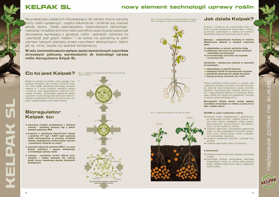 Jednakże rolnictwo to warsztat pod gołym niebem i do końca nie potrafimy w pełni ustrzec naszych plantacji przed czynnikami abiotycznymi, takimi jak np. mróz, susza czy wysokie temperatury. Rys. 2.