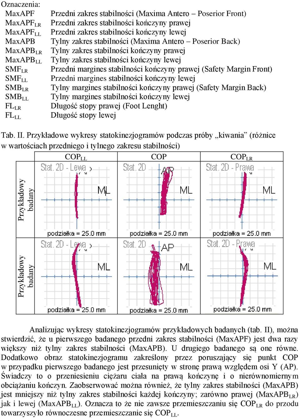 zakres stabilności kończyny lewej Przedni margines stabilności kończyny prawej (Safety Margin Front) Przedni margines stabilności kończyny lewej Tylny margines stabilności kończyny prawej (Safety