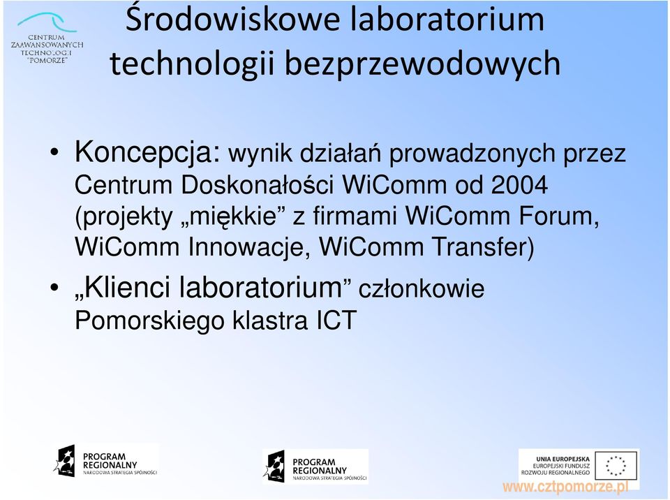 2004 (projekty miękkie z firmami WiComm Forum, WiComm Innowacje,