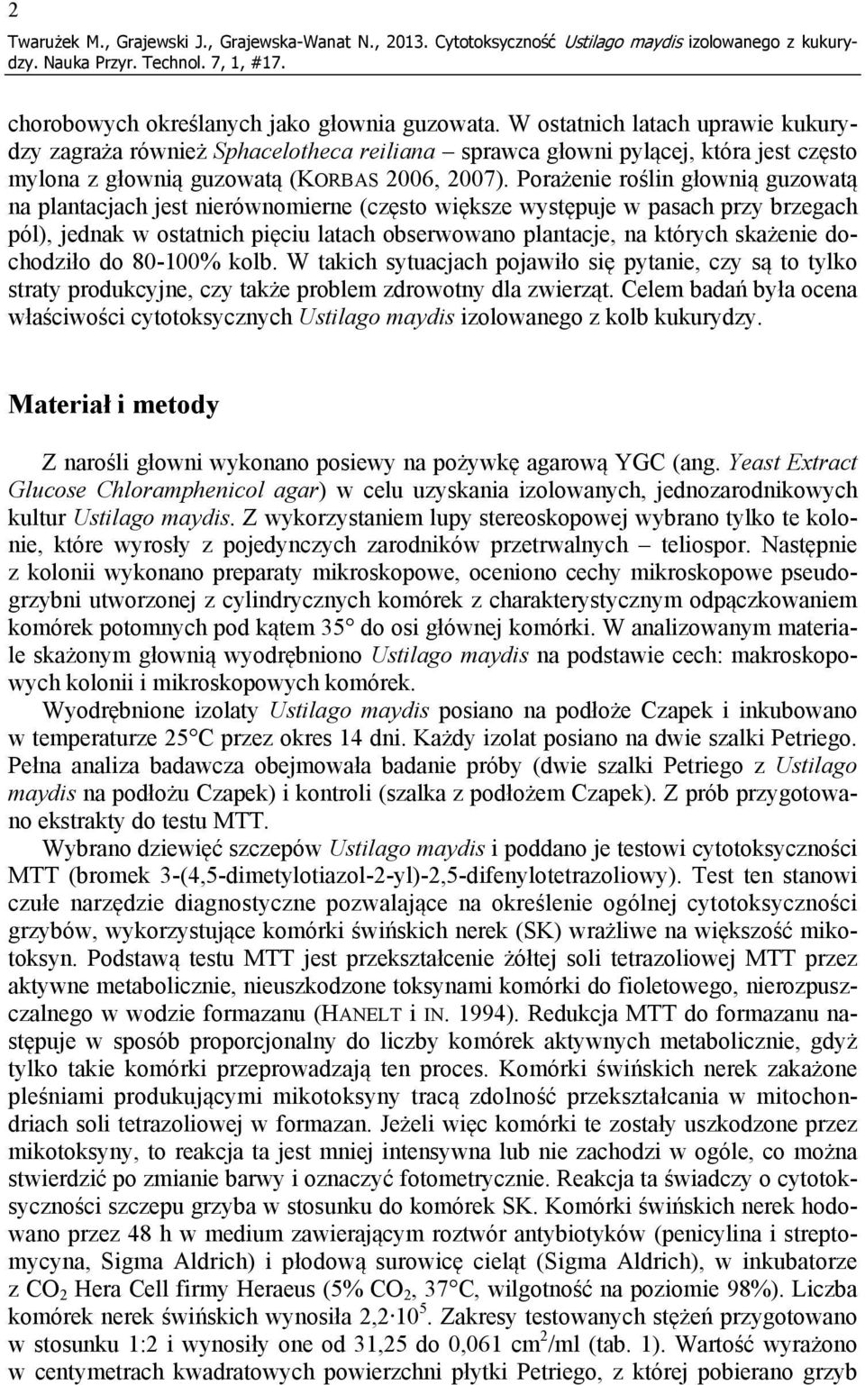 Porażenie roślin głownią guzowatą na plantacjach jest nierównomierne (często większe występuje w pasach przy brzegach pól), jednak w ostatnich pięciu latach obserwowano plantacje, na których skażenie