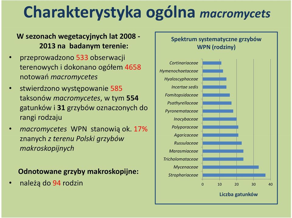 17% znanych z terenu Plki Polski grzybów makroskopijnych Odnotowane grzyby makroskopijne: Spektrum systematyczne grzybów WPN (rodziny) Cortinariaceae Hymenochaetaceae