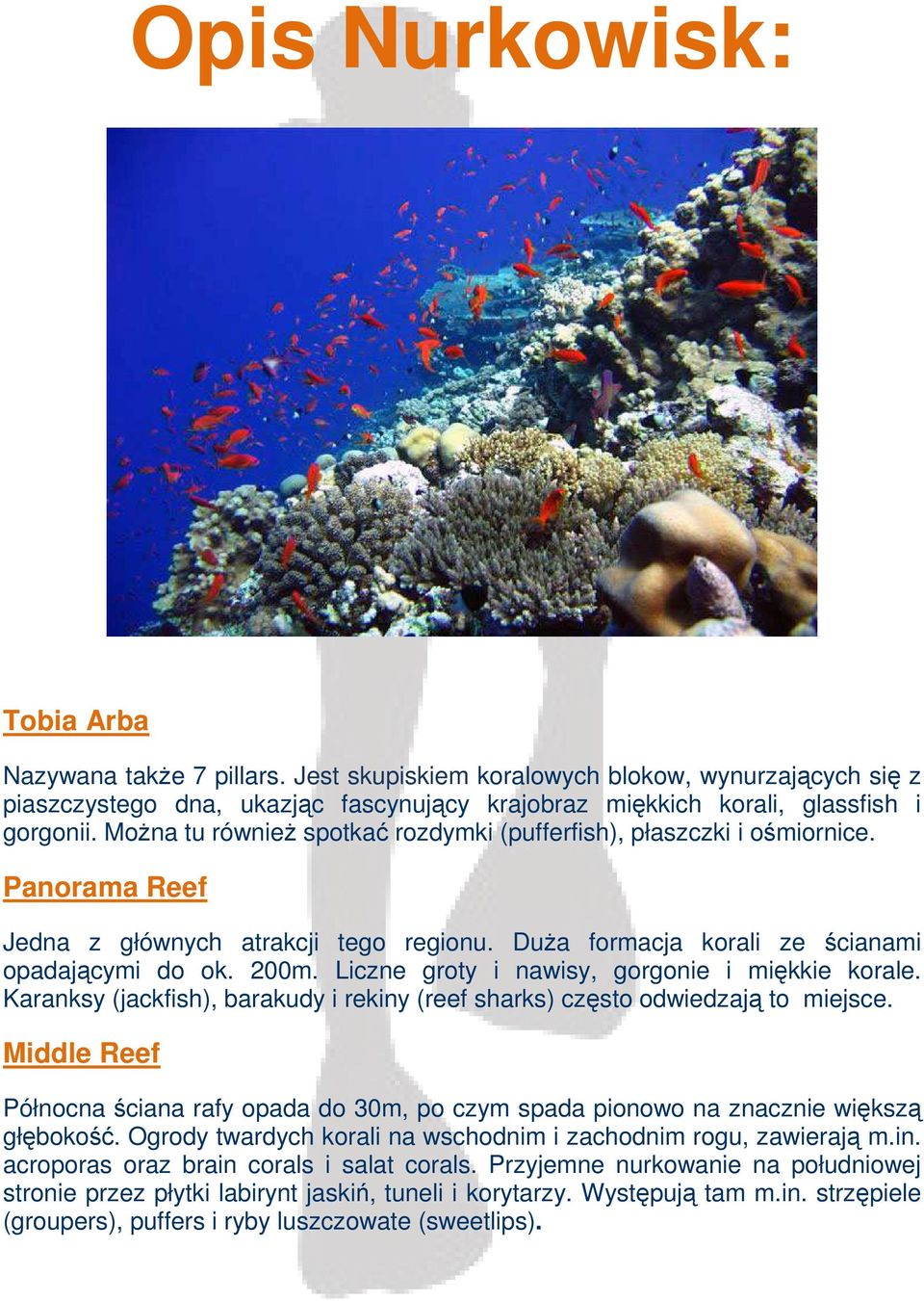 Liczne groty i nawisy, gorgonie i miękkie korale. Karanksy (jackfish), barakudy i rekiny (reef sharks) często odwiedzają to miejsce.