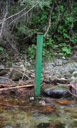 13) Kościeliski Potok (Brama Kantaka) Wahania stanów wody w ciągu roku wynosiły do 51 cm (Ryc. 14a). Najniższy stan wody wynosił NW=15 cm, najwyższy WW=66 cm, natomiast średni SW=24 cm.