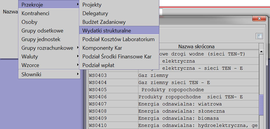 Klasyfikacja Budżetowa Intuicyjne uzupełnianie Klasyfikacji Budżetowej, słownik Paragrafów Wydatki