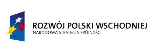 Badanie potoków pasażerskich na granicy Lubelskiego Obszaru Funkcjonalnego (Miasto Lublin, Miasto Lubartów, Miasto Świdnik, Gmina Mełgiew, Gmina Lubartów, Gmina Niedrzwica Duża, Gmina Strzyżewice,