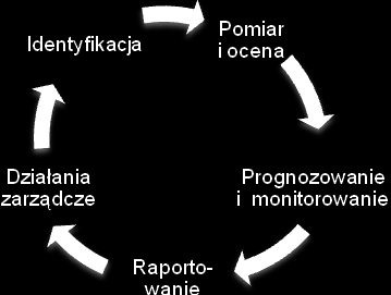 Celem podejmowania działań zarządczych jest kształtowanie procesu zarządzania ryzykiem oraz poziomu ryzyka.