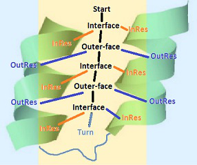 Model miejsca kontaktowego helisa-helisa: GRAMATYKA Start Interface Outer-face Outer-face OutsideResidues1 Interface OutsideResidues2 ε Interface InsideResidues1 Outer-face