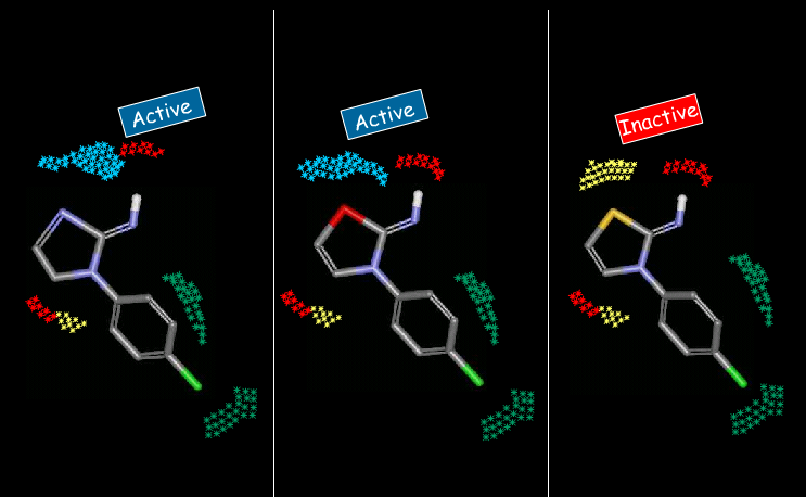 3D-QSAR Quantitative Structure-Activity Relationship 3D-QSAR pozwala na uzyskanie korelacji pomiędzy polami oddziaływań