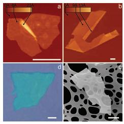 Kryształy dwuwymiarowe NbSe 2 Graphene Odkryte w 2005 roku Grubość -od jednej do kilku warstw atomowych (obiekty dwuwymiarowe) Grupa o bardzo zróżnicowanych właściwościach (półprzewodniki,