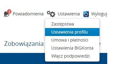 Instrukcja Użytkownika System BIG.pl Strona 15 z 186 6.