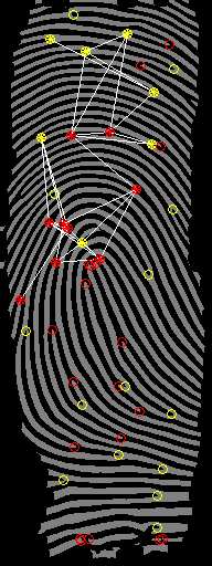 6.3. Podsumowanie testów 43 a) b) c) d) e) f) g) h) Rysunek 6.3: Przykład 2.