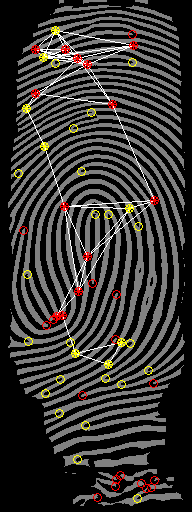 6.3. Podsumowanie testów 44 a) b) c) d) e) f) g) h) Rysunek 6.4: Przykład 3.