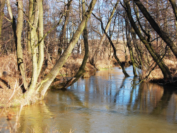 B1 (1 km above the tributary to the Biała Przemsza) Figure 3. BP3 (Okradzionów, above Small Water Electric Plant) Figure 4.