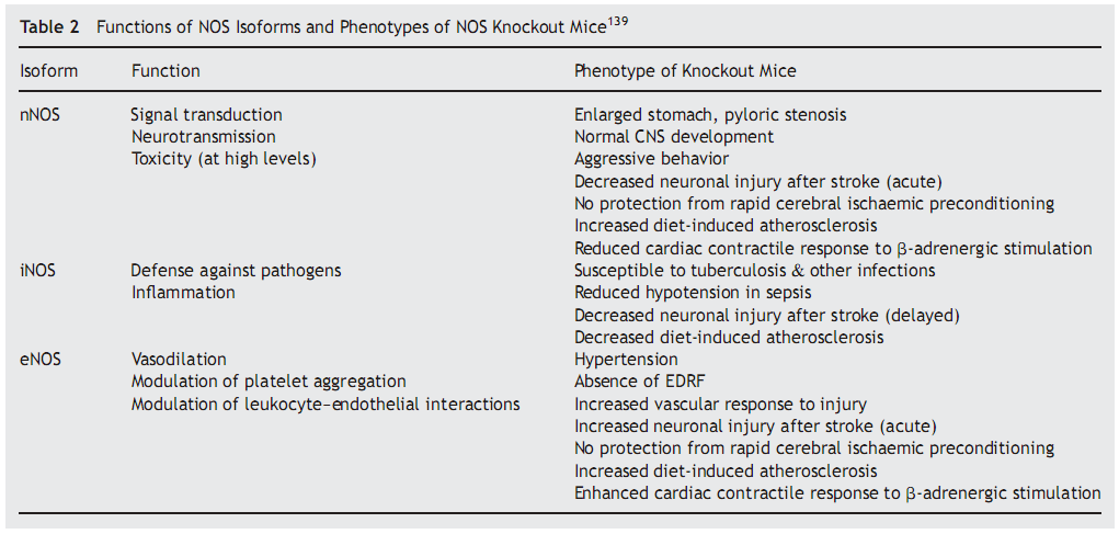 Porównanie form NOS Fenotyp myszy pozbawionych genów NOS