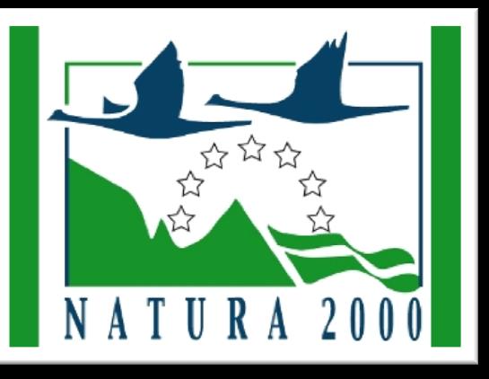 Turystyka na obszarach Natura 2000 1.