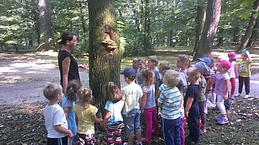 NASZE PRZEDSZKOLE PODEJMUJE SZEREG DZIAŁAŃ SŁUŻĄCYCH BUDZENIU ŚWIADOMOŚCI EKOLOGICZNEJ.