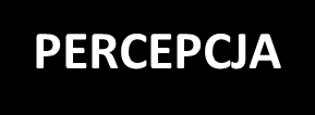 Podłożem zachodzenia procesów odpowiadających za percepcję, uwagę, pamięć opisową, pamięć operacyjną odpowiedzialne są różnorodne struktury mózgu Kora nowa