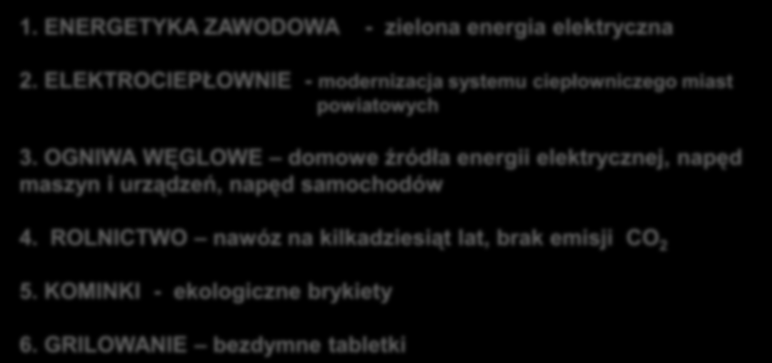 wykorzystanie biowęgla 1. ENERGETYKA ZAWODOWA - zielona energia elektryczna 2. ELEKTROCIEPŁOWNIE - modernizacja systemu ciepłowniczego miast powiatowych 3.