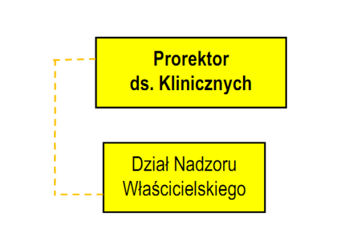 PION PROREKTORA DS. KLINICZNYCH 47 Prorektorowi ds.