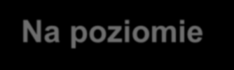 Na poziomie powiatowym/gminnym mapy zagrożeń powinny obejmować teren odpowiedzialności całej jednostki organizacyjnej Policji, w tym jednostek podległych jeśli zostały wyodrębnione.