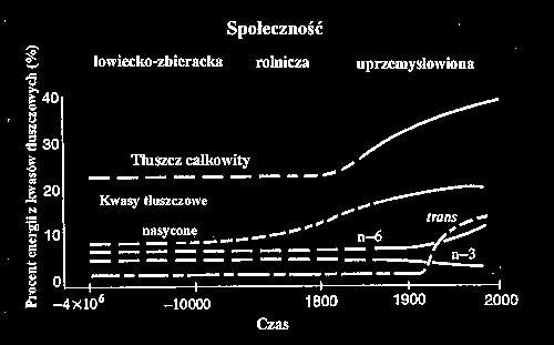 Simopoulos 1995 Przyczyny