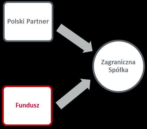 Fundusz współinwestuje z Polskimi Partnerami Fundusz współinwestuje z Polskim Partnerem w jego zagraniczną Spółkę Projektową realizującą projekt ekspansji Polskiego Partnera Polski Partner zarządza