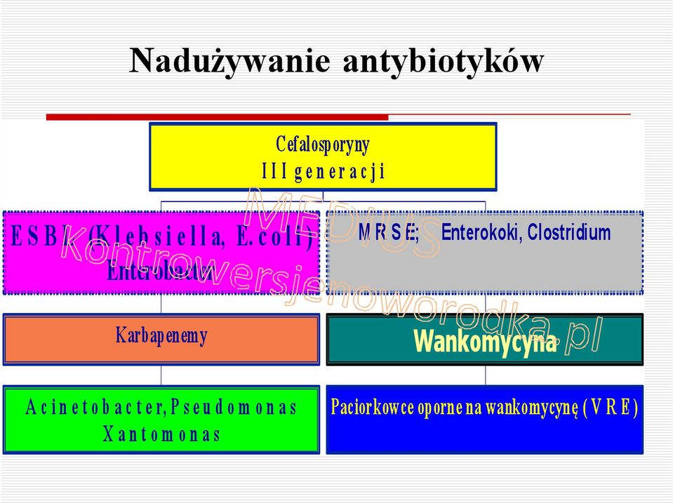 c o l i ) Enterobacter Karbapenemy A c i n e t o b a c t e r, P s e u d