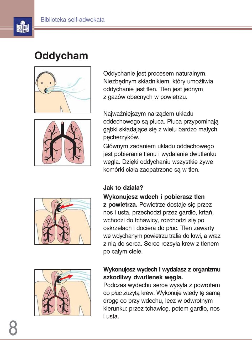 Głównym zadaniem układu oddechowego jest pobieranie tlenu i wydalanie dwutlenku węgla. Dzięki oddychaniu wszystkie żywe komórki ciała zaopatrzone są w tlen. Jak to działa?