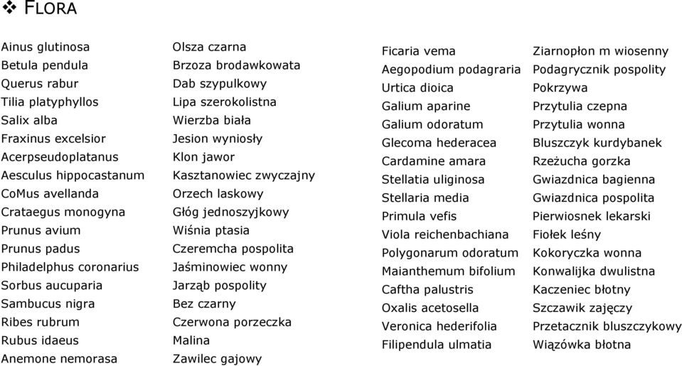 pospolita Philadelphus coronarius Jaśminowiec wonny Sorbus aucuparia Jarząb pospolity Sambucus nigra Bez czarny Ribes rubrum Czerwona porzeczka Rubus idaeus Malina Anemone nemorasa Zawilec gajowy